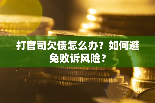 北京打官司欠债怎么办？如何避免败诉风险？